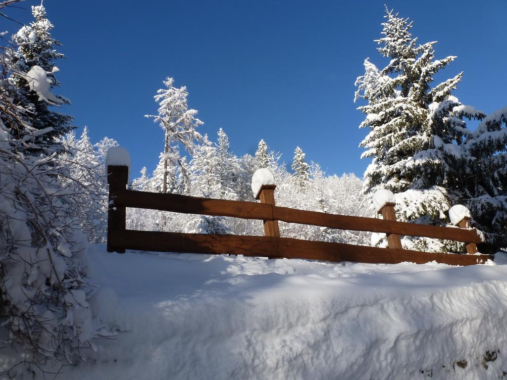 Erika Penzion Vysoké Tatry Esterno foto